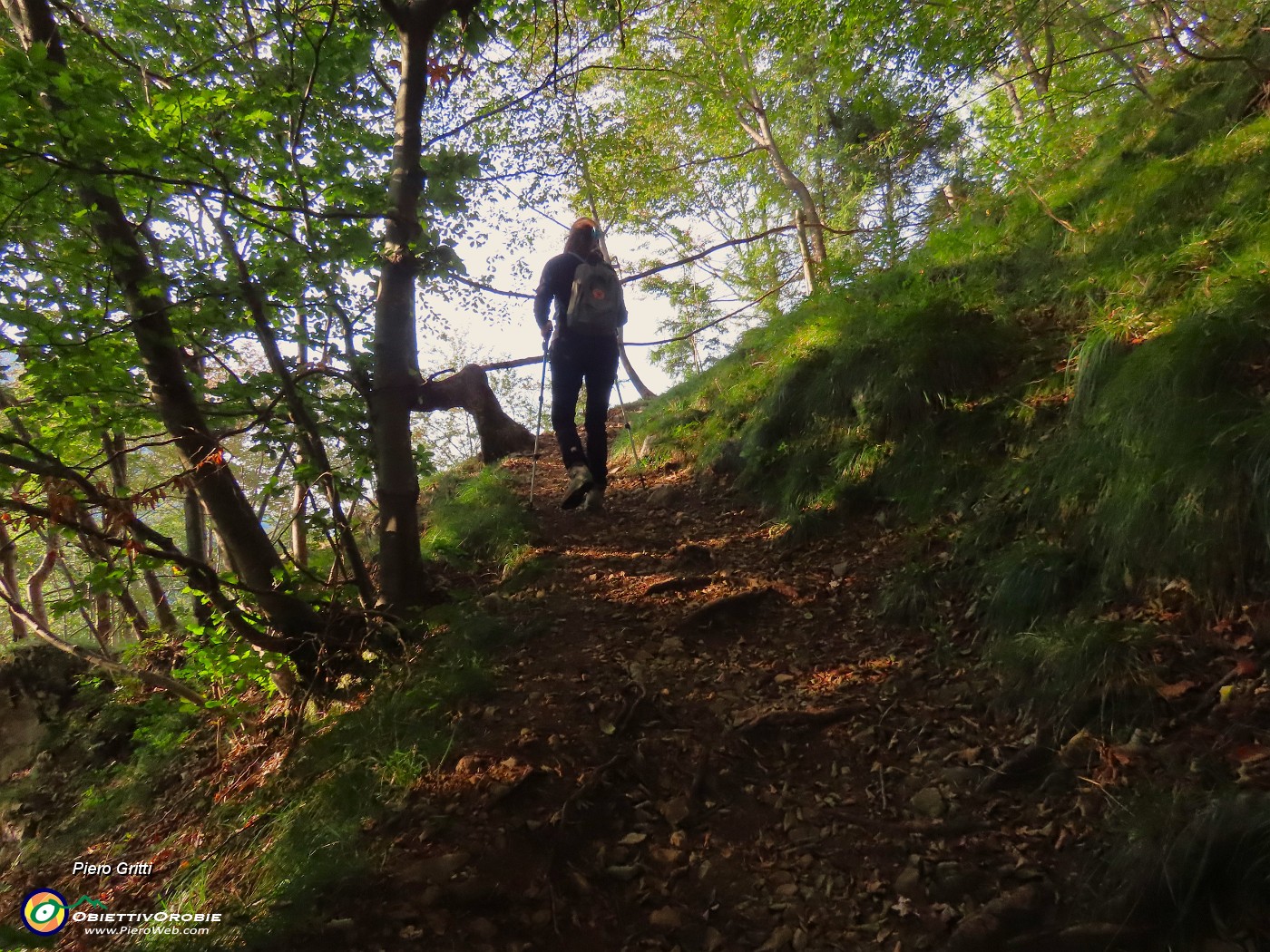 04 Entriamo subito nel bosco.JPG